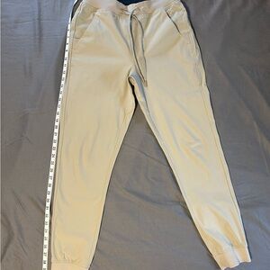 Birddogs Men's Beige Joggers
